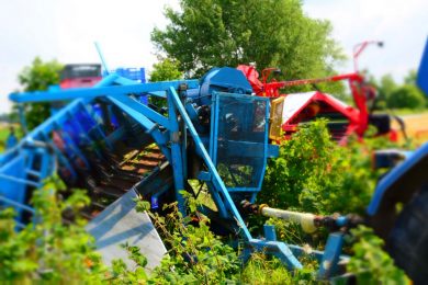 Механическая уборка ягод и фруктов в прошлом и сегодня